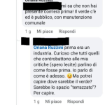 Post Facebook commento assessora Ruzzini